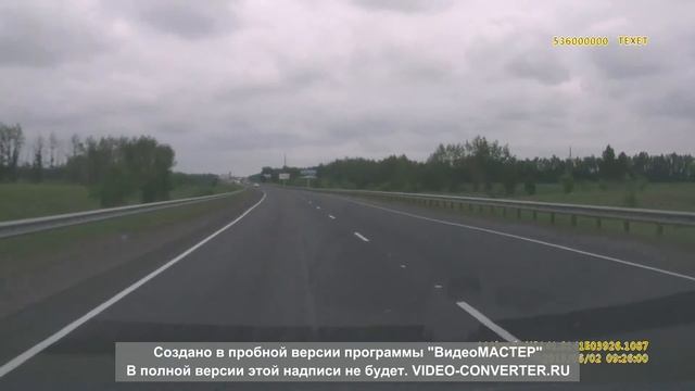 Дятел на дороге ! смотреть онлайн