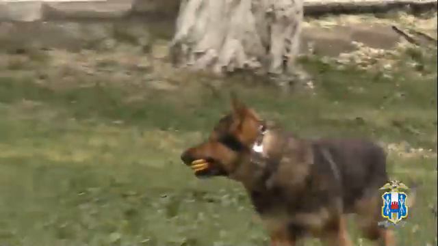 День  образования подразделений общественных связей органов внутренних дел России