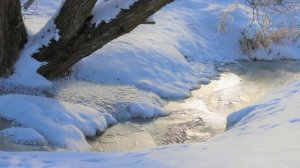 Футаж. Зимний пейзаж 70