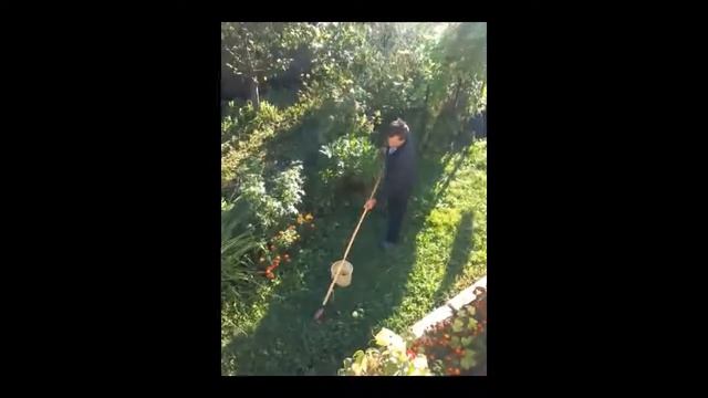 Сад.Простое супер приспособление для сбора яблок. смотреть онлайн