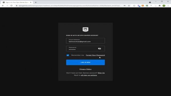 epic games not sending verification code email problem ( need help :C )