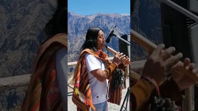 Desde El Majestuoso Cañón Del Colca Chivay Arequipa Perú El indio Irlandés смотреть онлайн