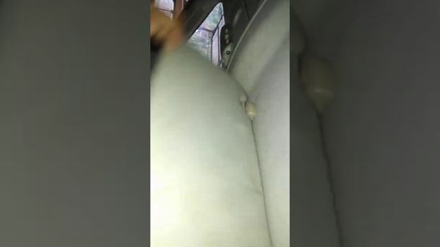 Review Mobil Ford Ranger XLS/ T6 смотреть онлайн