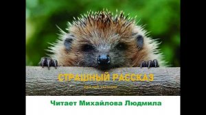 Евгений Чарушин "Страшный рассказ". Литературное чтение 1-4 класс. Читает Михайлова Людмила.