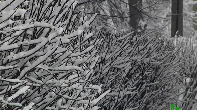 2021 02 06 Видеозарисовка "Зима" смотреть онлайн