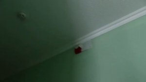 Реальный обзор#6 Гостиница Тихий Дон