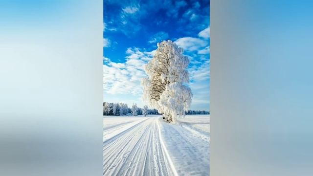 РОЖДЕСТВЕНСКИЙ СОЧЕЛЬНИК 6 ЯНВАРЯ смотреть онлайн