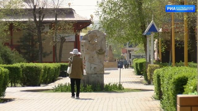 В Калмыкии 1137 новорожденных получили СНИЛС без подачи заявления смотреть онлайн