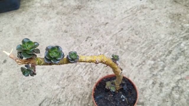 Veja O Quanto A Natureza  Agradece Cada Carinho Nosso.