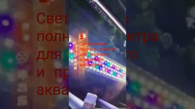 Светодиодные светильники для аквариума полного спектра смотреть онлайн
