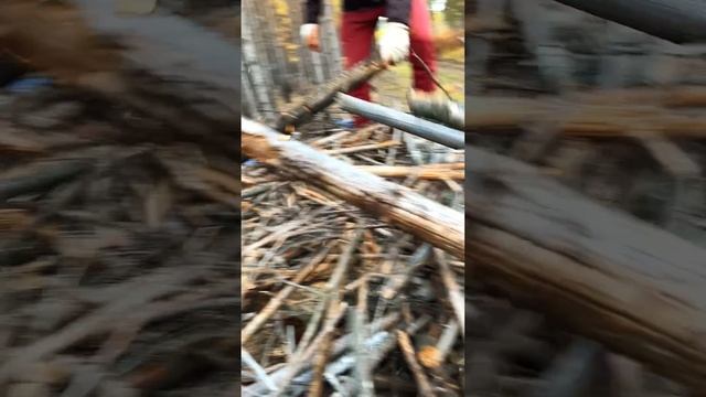 Остров Vibe + ❗️ ФЭиА и ФЭиС