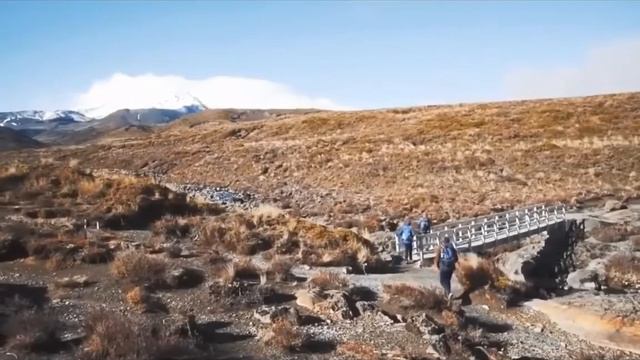 Турнир "Норвежская треска". а дальше как пойдет) смотреть онлайн