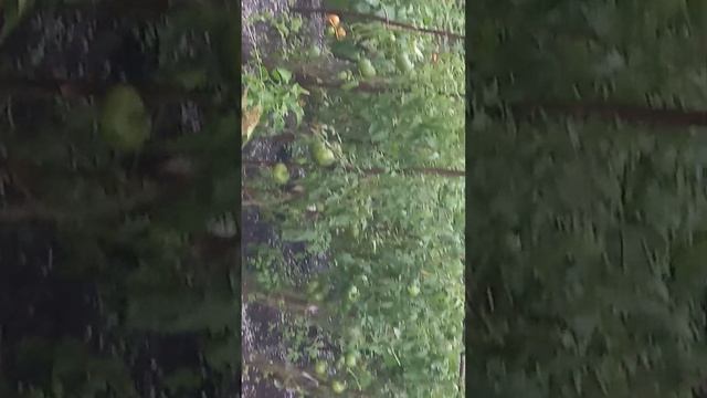 капризная погода в Германии смотреть онлайн