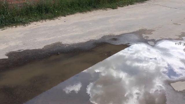 Воробей(водные процедуры). смотреть онлайн