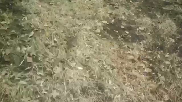 Как мне сделать так скажи мая со как