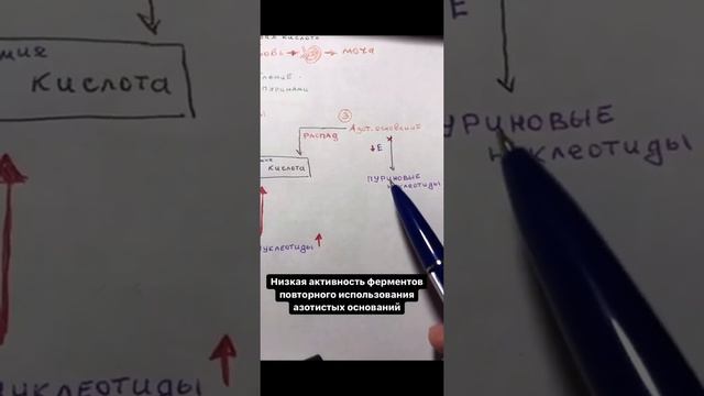 Подагра. С позиции биохимии смотреть онлайн