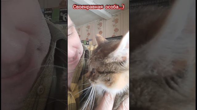 Своенравная особа.