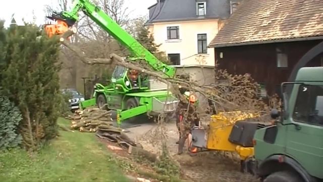 Dangerous Fastest Big Chainsaw Cutting Tree Felling Machines, Heavy Equipment Tree Felling Machines смотреть онлайн