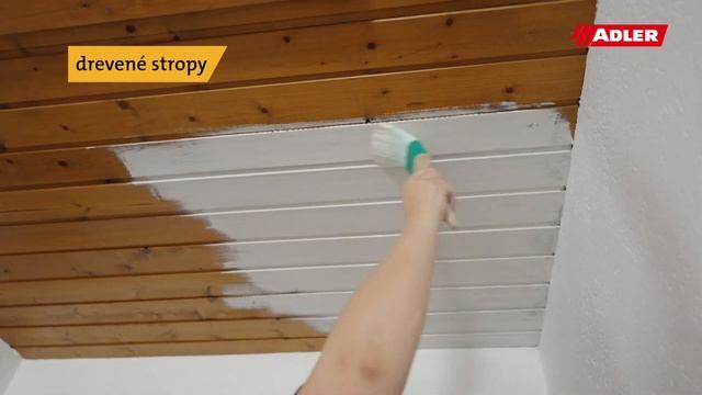 ADLER 5in1Color - farba na všetko a pre všetkých смотреть онлайн