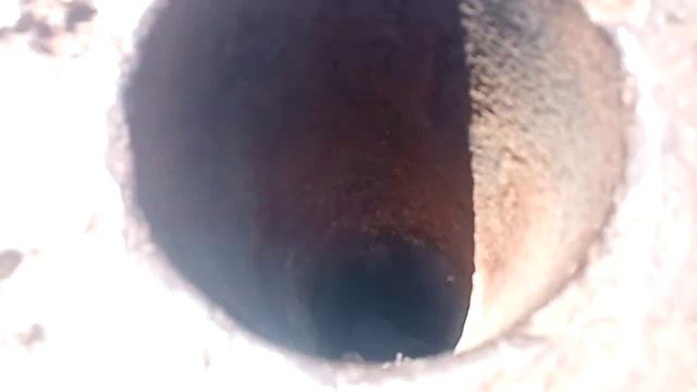 Опиратор приехал домой. И рассказали что случилось. смотреть онлайн