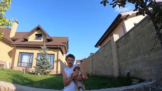 Стафф или Ам Буль смотреть онлайн