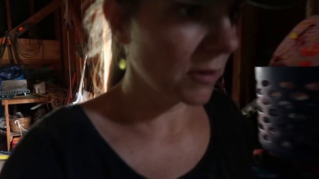 ??Vegetable Gardening With WEED GUARD FABRIC For the First Time | So Far I Like It смотреть онлайн