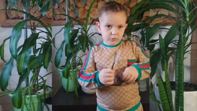 Поздравление для старшего брата смотреть онлайн