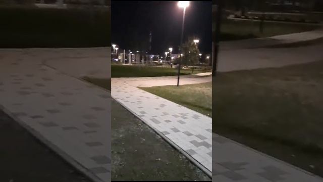 16 ноября 2023 г.Мечеть имени Пророка Мухаммада и окрестности.Neighborhood around the Mosque. смотреть онлайн