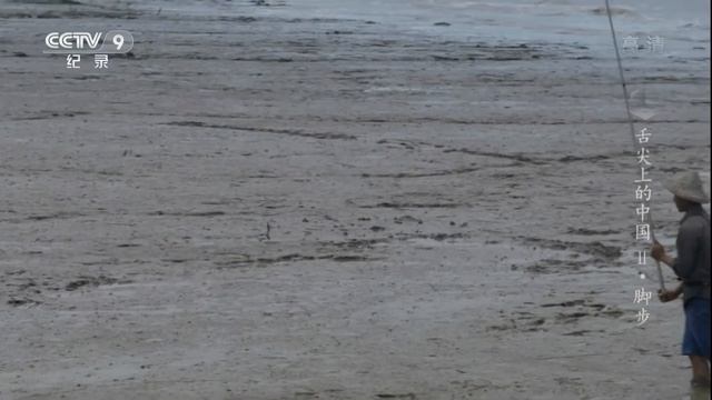 World's Quickest Mudskippers Catcher смотреть онлайн