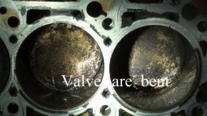 2004 Audi A4 3.0L Broken Timing Belt Repair