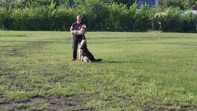 Премия Проверка Рабочих Качеств смотреть онлайн