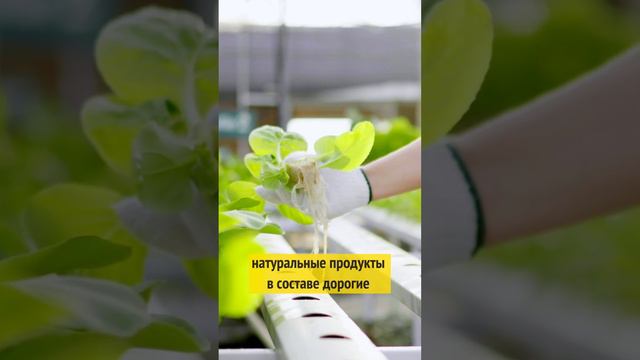 САМАЯ ПОЛЕЗНАЯ КОЛБАСА ✅ смотреть онлайн