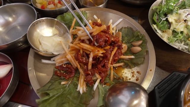 I Went To The Zoo(?) With The Best View In KoreaㅣZoo, Aquarium, Cold Noodles With YukjeonㅣHamzy Vlo