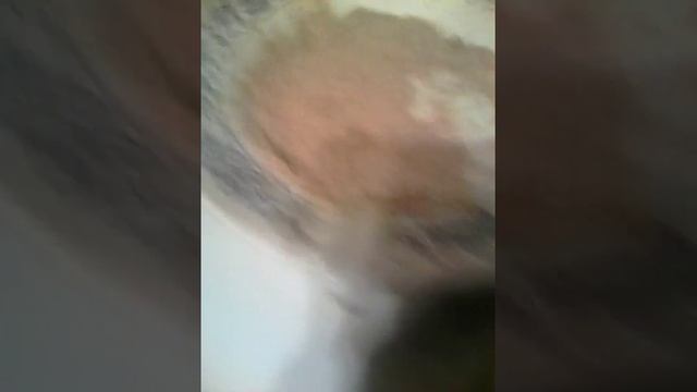 #1 Как приготовить мясные пирожные(свинина,говядина) смотреть онлайн