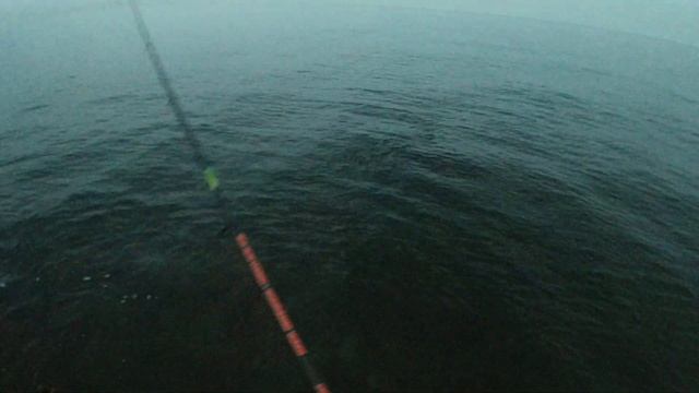 Самодур на ставриду. Рыбалка на Черном море 2021. Спиннинг на ставриду с берега. смотреть онлайн