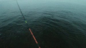 Самодур на ставриду. Рыбалка на Черном море 2021. Спиннинг на ставриду с берега.