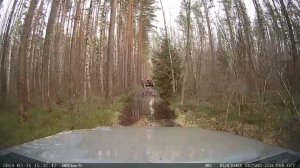 ТАНК 300. Вода в воздуховоды!