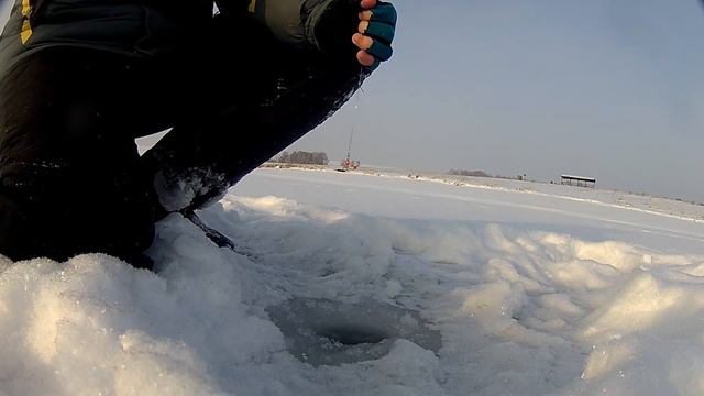 Балансир в Береговом. смотреть онлайн
