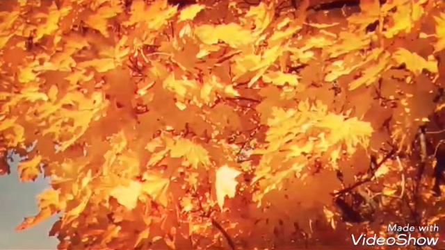 Шалунья осень смотреть онлайн