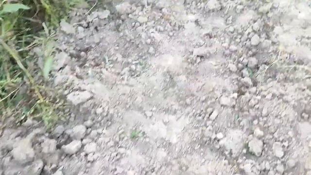 МЯСО С КАРТОФЕЛЕМ В ДУХОВКЕ/ ДОКОПАЛА, УРАААА!!!! /МНОГОСТРАДАЛЬНАЯ СТЕНА/ЧУДО-ЮДО ИЗ ЗЕМЛИ смотреть онлайн