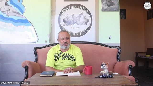 Rottweiler vs Doberman - Farklılıkları, Benzerlikleri, Üstünlükleri ve Zayıflıkları смотреть онлайн