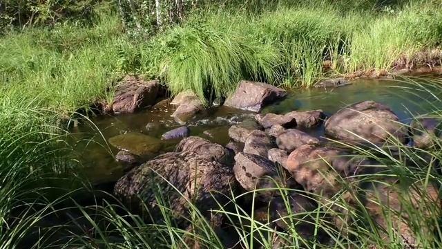 Прісноводні водойми з Краплинкою: озеро, болото, джерело, річка, водоспад. Зрозуміло і цікаво смотреть онлайн