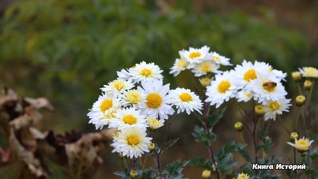 Выйдя из комы, дочь уборщика услышала разговор мужа со свекровью. Простушка приготовила им сюрприз. смотреть онлайн