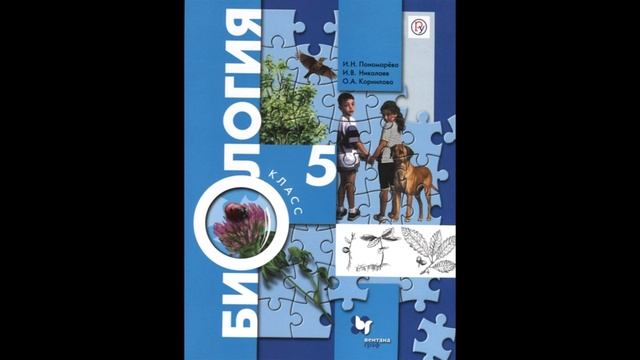 § 5 Строение клетки. Ткани смотреть онлайн