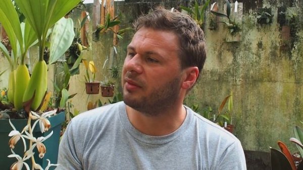 Coelogyne swaniana - Orchideen erfolgreich pflegen