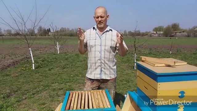Чтобы пчёлы не роились, используй этот метод! смотреть онлайн