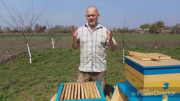 Чтобы пчёлы не роились, используй этот метод!