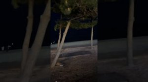 Корея влог. Поездка в Каннын (강릉). День 1й.