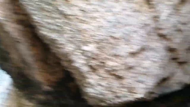 MINI GREAT WALL.. CHEUNG CHAU ISLAND.. SOLO HIKE.. смотреть онлайн