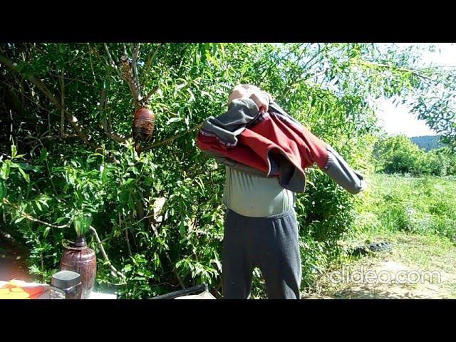 Шершни - ой-ё-ёй !!! смотреть онлайн